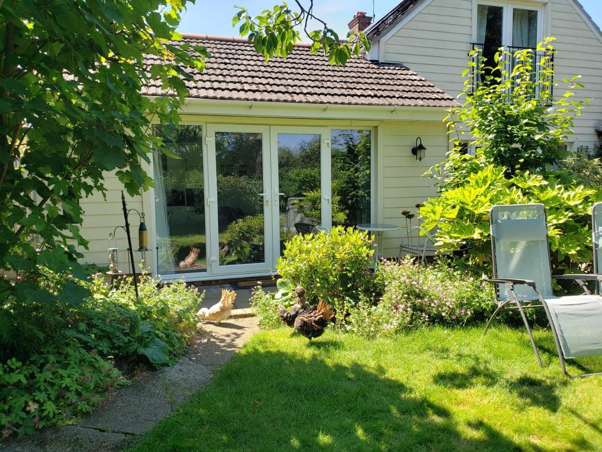 Luxury Self Catering With Cosy Cabin & Sauna In コルチェスター エクステリア 写真